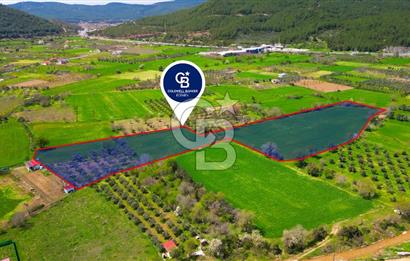 Muğla Ula Köprübaşı’nda Satılık Yatırımlık Tarla