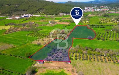 Muğla Ula Köprübaşı’nda Satılık Yatırımlık Tarla