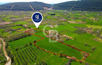 Muğla Ula Köprübaşı’nda Satılık Yatırımlık Tarla