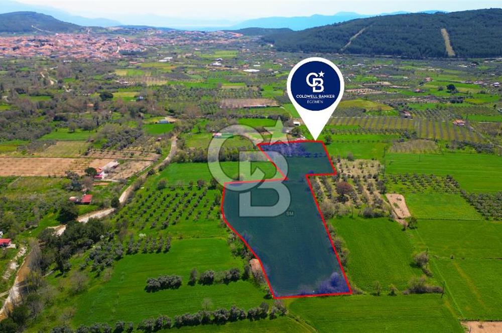 Muğla Ula Köprübaşı’nda Satılık Yatırımlık Tarla