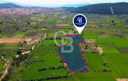 Muğla Ula Köprübaşı’nda Satılık Yatırımlık Tarla