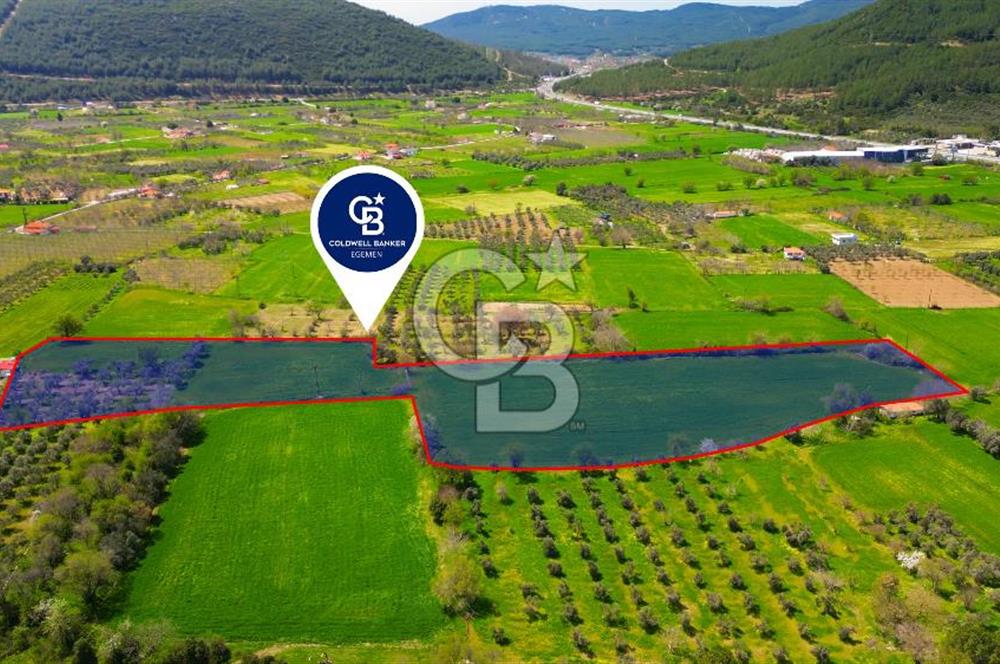 Muğla Ula Köprübaşı’nda Satılık Yatırımlık Tarla