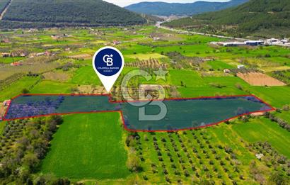Muğla Ula Köprübaşı’nda Satılık Yatırımlık Tarla
