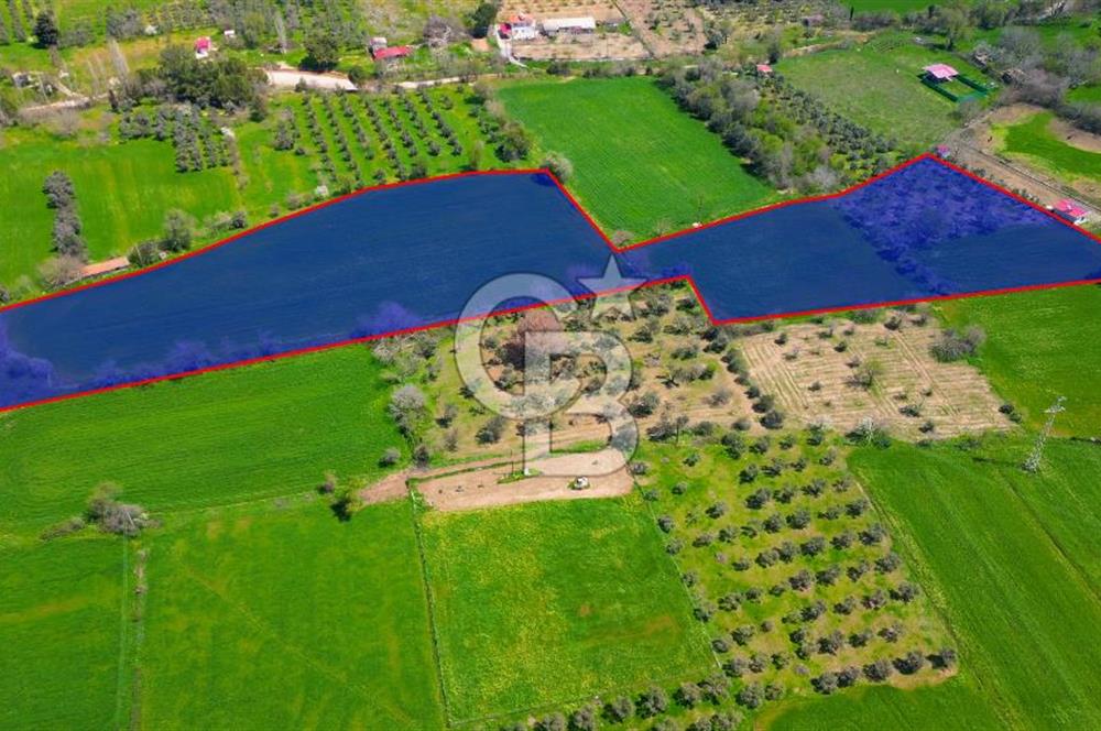 Muğla Ula Köprübaşı’nda Satılık Yatırımlık Tarla