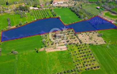 Muğla Ula Köprübaşı’nda Satılık Yatırımlık Tarla