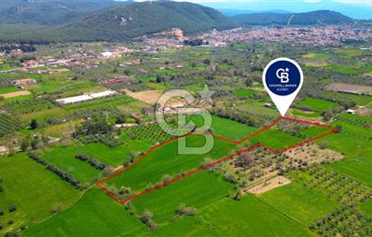 Muğla Ula Köprübaşı’nda Satılık Yatırımlık Tarla