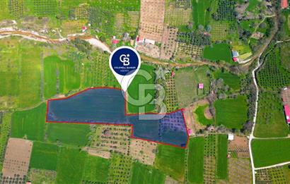 Muğla Ula Köprübaşı’nda Satılık Yatırımlık Tarla