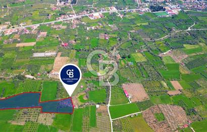 Muğla Ula Köprübaşı’nda Satılık Yatırımlık Tarla