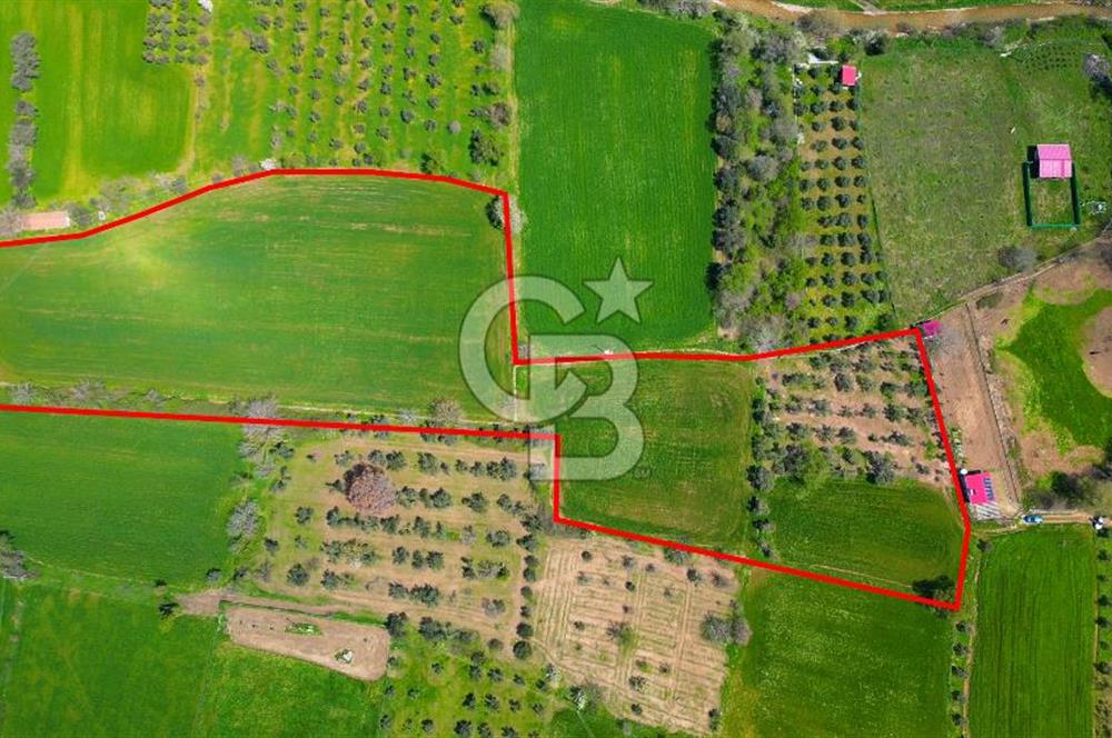 Muğla Ula Köprübaşı’nda Satılık Yatırımlık Tarla