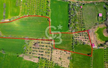 Muğla Ula Köprübaşı’nda Satılık Yatırımlık Tarla