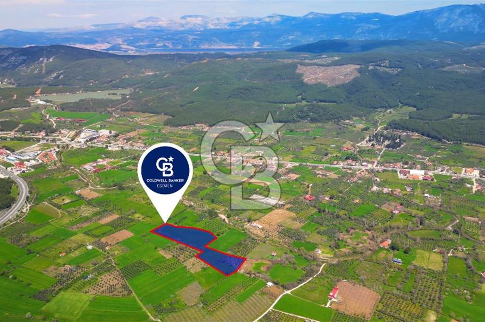 Muğla Ula Köprübaşı’nda Satılık Yatırımlık Tarla