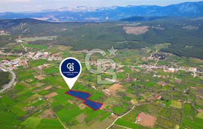 Muğla Ula Köprübaşı’nda Satılık Yatırımlık Tarla