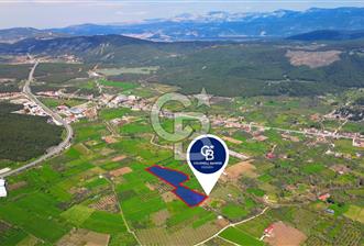 Muğla Ula Köprübaşı’nda Satılık Yatırımlık Tarla - 1 - 345784