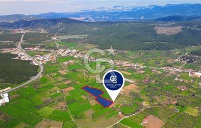 Muğla Ula Köprübaşı’nda Satılık Yatırımlık Tarla