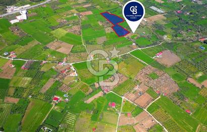 Muğla Ula Köprübaşı’nda Satılık Yatırımlık Tarla