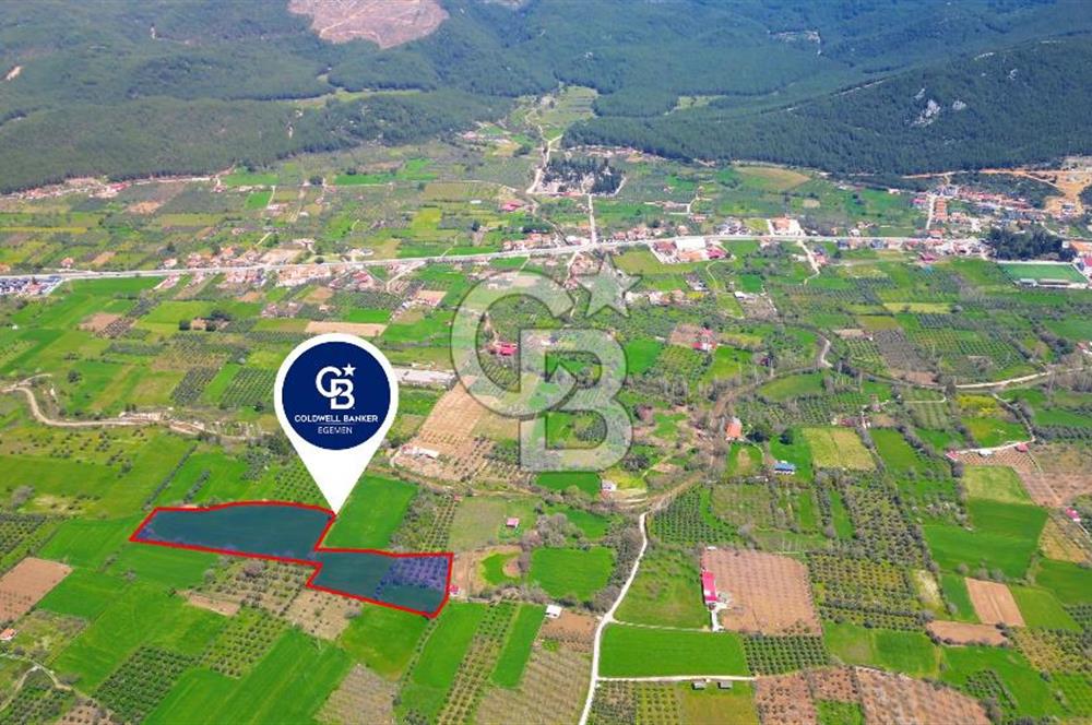 Muğla Ula Köprübaşı’nda Satılık Yatırımlık Tarla