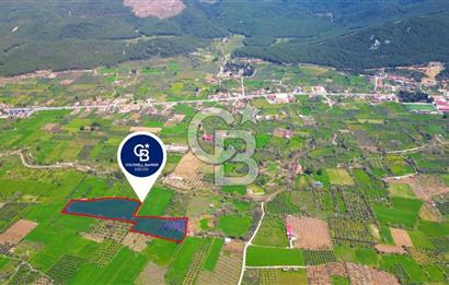 Muğla Ula Köprübaşı’nda Satılık Yatırımlık Tarla