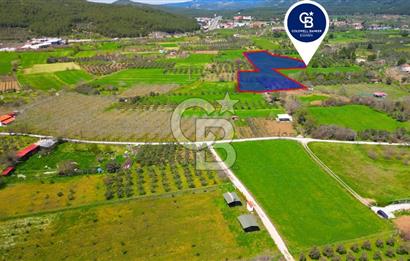 Muğla Ula Köprübaşı’nda Satılık Yatırımlık Tarla
