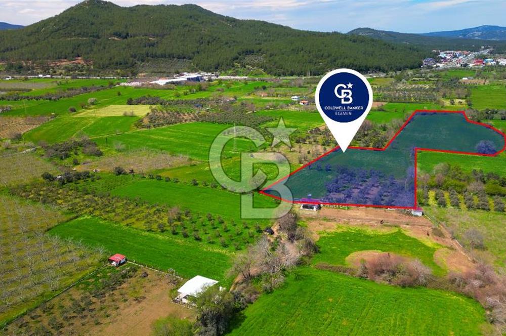 Muğla Ula Köprübaşı’nda Satılık Yatırımlık Tarla