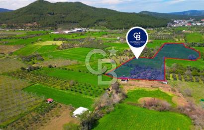Muğla Ula Köprübaşı’nda Satılık Yatırımlık Tarla