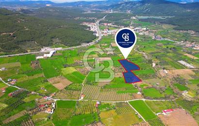 Muğla Ula Köprübaşı’nda Satılık Yatırımlık Tarla