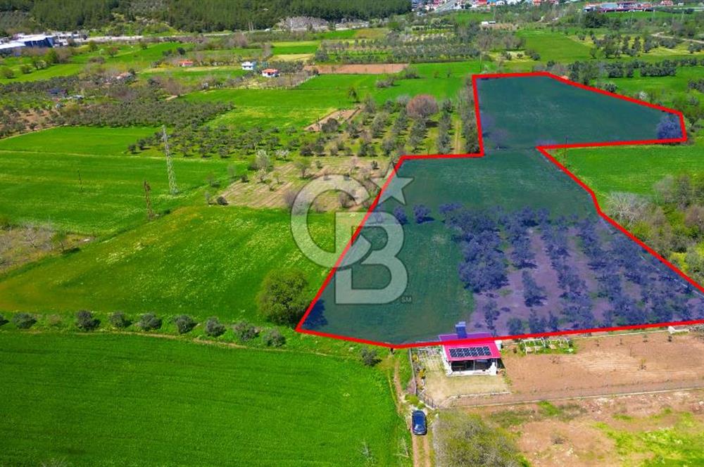 Muğla Ula Köprübaşı’nda Satılık Yatırımlık Tarla