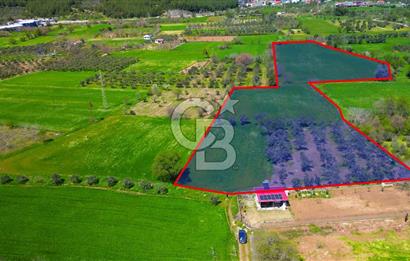 Muğla Ula Köprübaşı’nda Satılık Yatırımlık Tarla