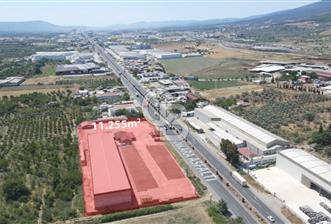 Kemalpaşada satılık depo alanı - 1 - 345871