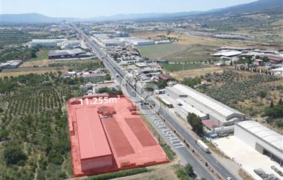 Kemalpaşada satılık depo alanı