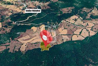 Tarım ve Çiftlik Projelerine Uygun 16.425 m² Geniş Parsel - 6 - 345818