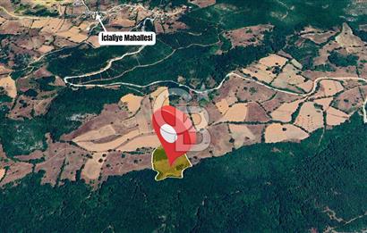 Tarım ve Çiftlik Projelerine Uygun 16.425 m² Geniş Parsel