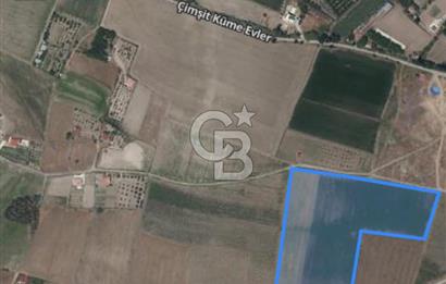 Ankara Kahramankazan Çimşit Satılık 27.870.000 TL Tarla