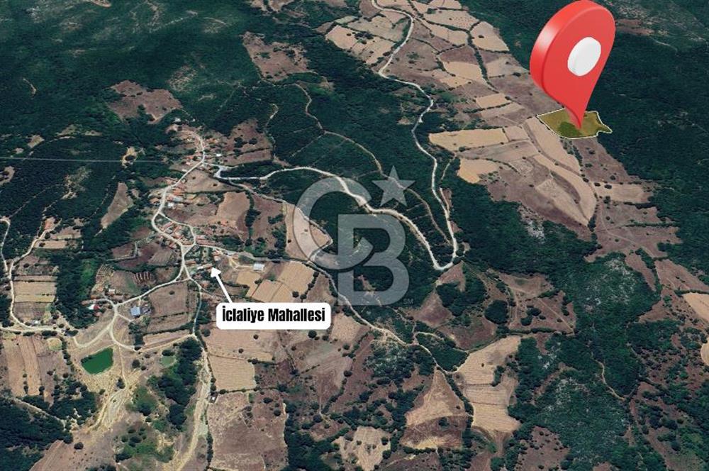 Tarım ve Çiftlik Projelerine Uygun 16.425 m² Geniş Parsel