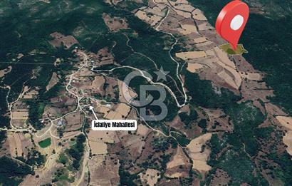 Tarım ve Çiftlik Projelerine Uygun 16.425 m² Geniş Parsel