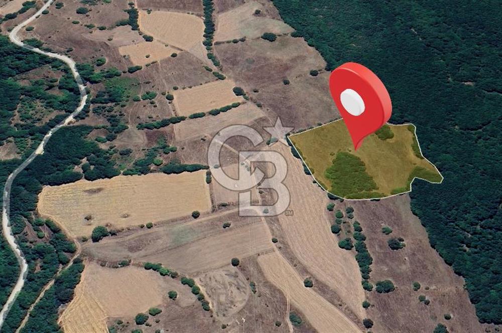 Tarım ve Çiftlik Projelerine Uygun 16.425 m² Geniş Parsel