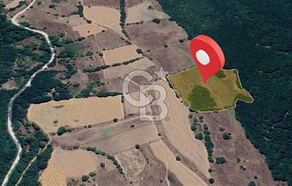 Tarım ve Çiftlik Projelerine Uygun 16.425 m² Geniş Parsel