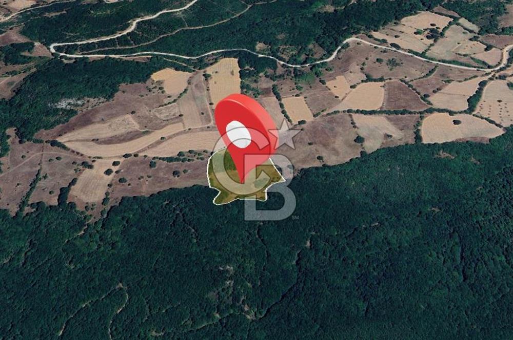 Tarım ve Çiftlik Projelerine Uygun 16.425 m² Geniş Parsel