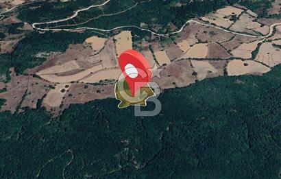 Tarım ve Çiftlik Projelerine Uygun 16.425 m² Geniş Parsel