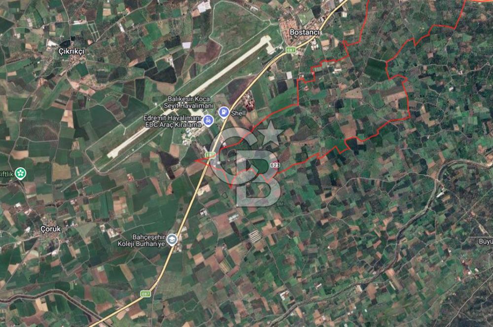 HAVRAN ÇAMDİBİ'NDE GETİRİSİ YÜKSEk MANDALİNA BAHÇESİ