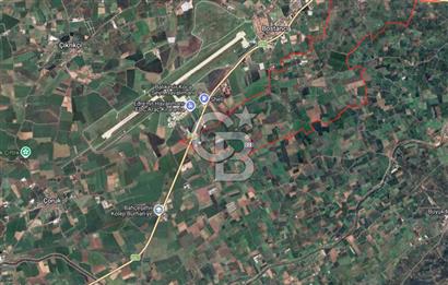 HAVRAN ÇAMDİBİ'NDE GETİRİSİ YÜKSEk MANDALİNA BAHÇESİ