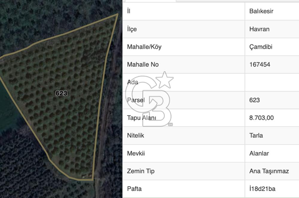 HAVRAN ÇAMDİBİ'NDE GETİRİSİ YÜKSEk MANDALİNA BAHÇESİ