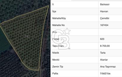 HAVRAN ÇAMDİBİ'NDE GETİRİSİ YÜKSEk MANDALİNA BAHÇESİ