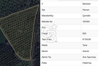 HAVRAN ÇAMDİBİ'NDE GETİRİSİ YÜKSEk MANDALİNA BAHÇESİ - 8 - 345848