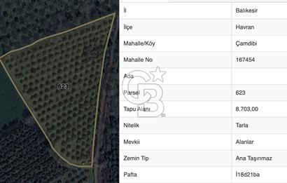 HAVRAN ÇAMDİBİ'NDE GETİRİSİ YÜKSEk MANDALİNA BAHÇESİ