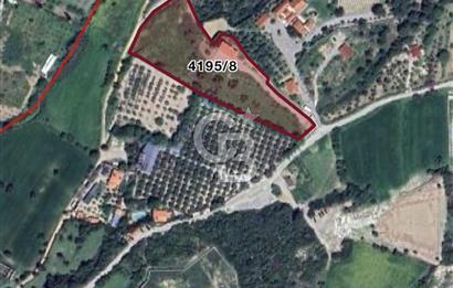 Urla Rüstem Mahallesi OD Urla Yakını 193 m2 Satılık Tarla