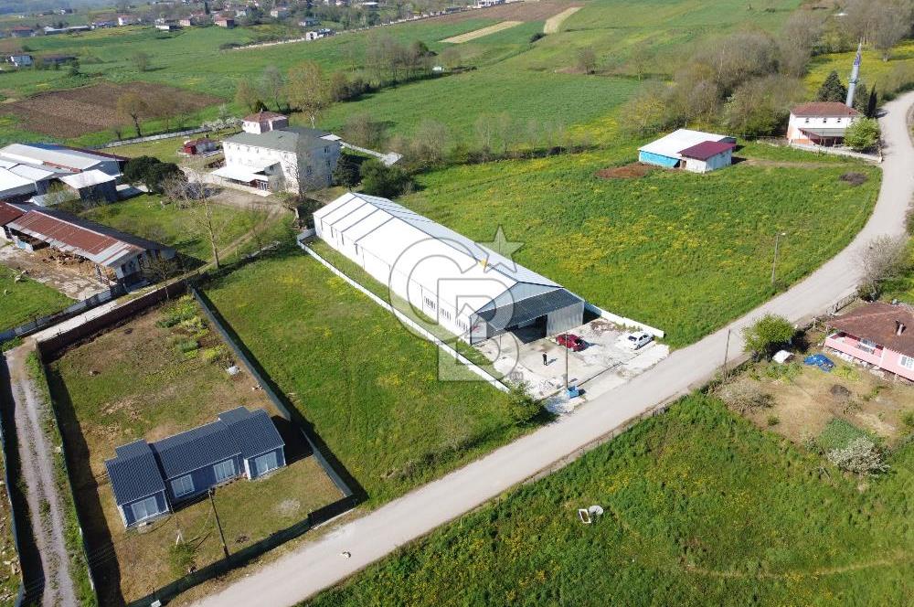 KOCAELİ KANDIRA SATILIK FABRİKA & ANTREPO