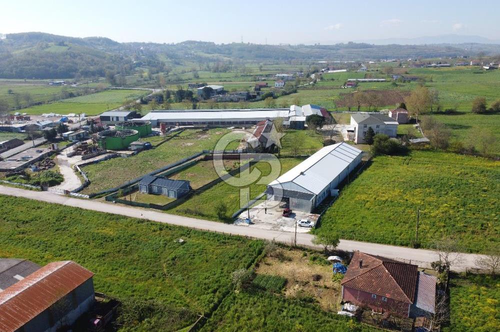 KOCAELİ KANDIRA SATILIK FABRİKA & ANTREPO