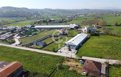 KOCAELİ KANDIRA SATILIK FABRİKA & ANTREPO