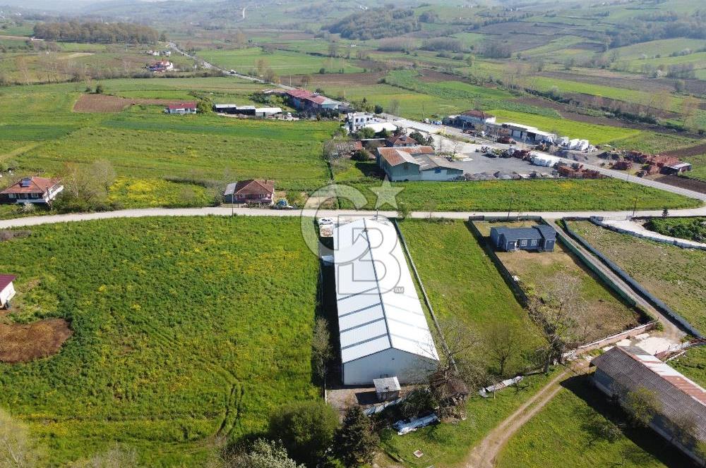 KOCAELİ KANDIRA SATILIK FABRİKA & ANTREPO