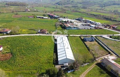 KOCAELİ KANDIRA SATILIK FABRİKA & ANTREPO